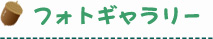 フォトギャラリー